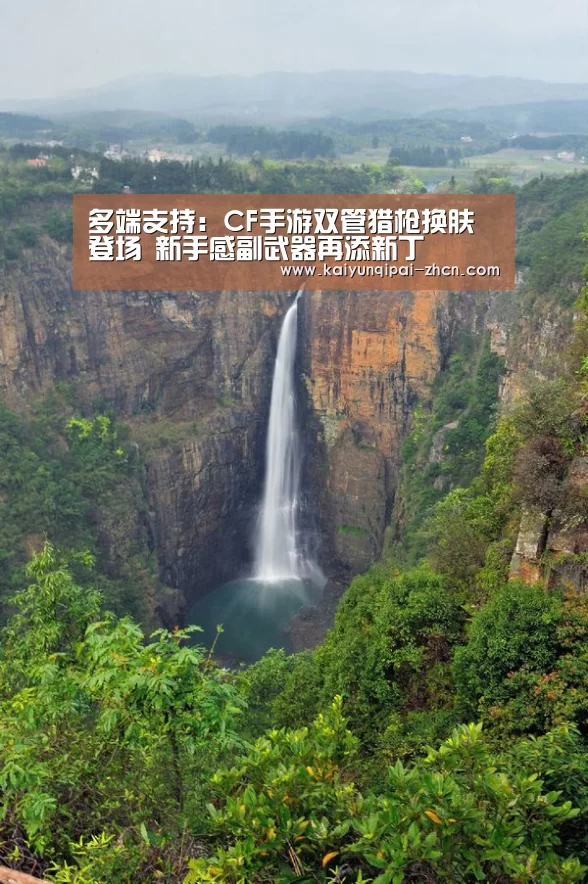 应用获取