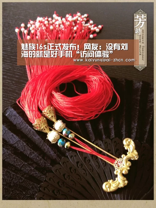 魅族16s正式发布!网友:没有刘海的就是好手机“访问体验”(图4) 应用获取