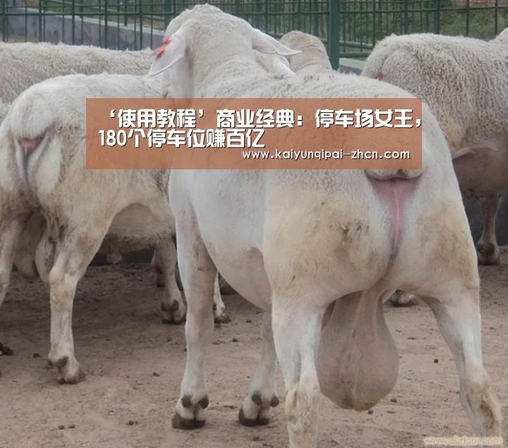 ‘使用教程’商业经典:停车场女王,180个停车位赚百亿(图1) 多端支持
